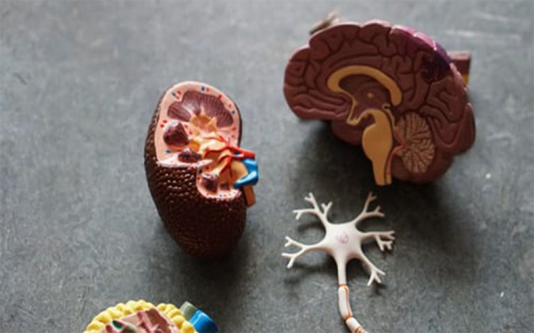 How is nephritis treated