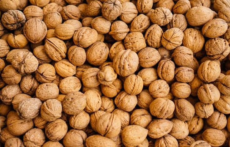 Walnut, Walnuts are packed with useful nutrients, 
